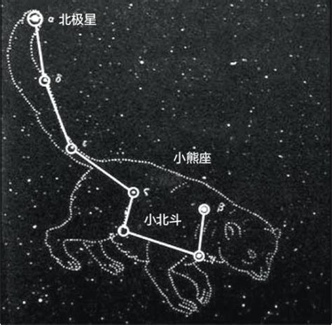 哪个星座最矮|小熊座